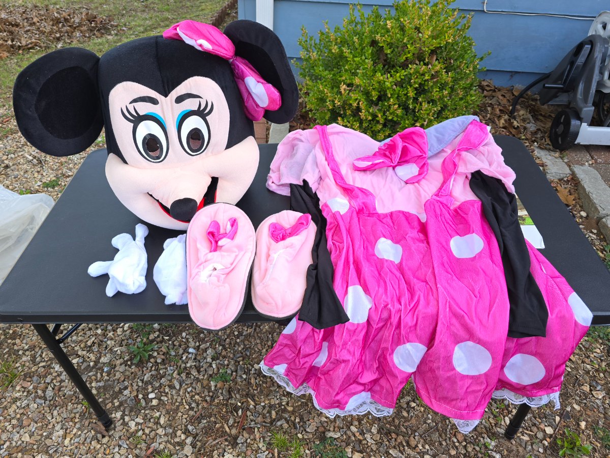 Minnie Mouse Character Costume ADULT LG